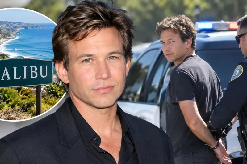 Why Was Jonathan Taylor Thomas Arrested in Malibu? Full Story